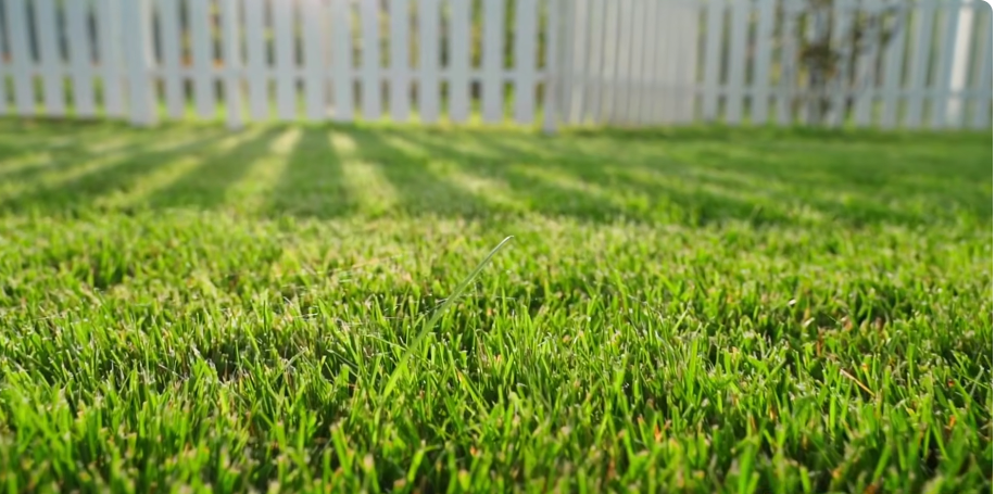 Freshly striped lawn along a fence line in Liberty Lake