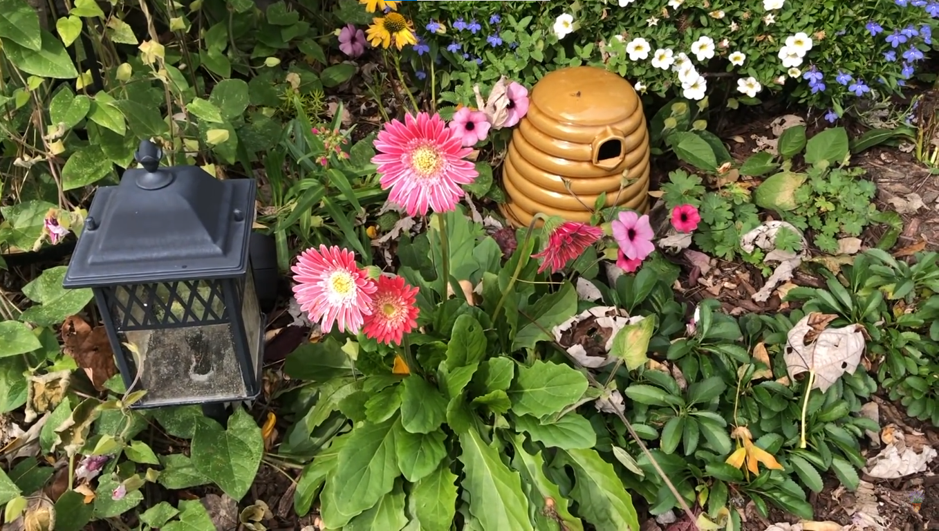 Spring & Fall Cleanup