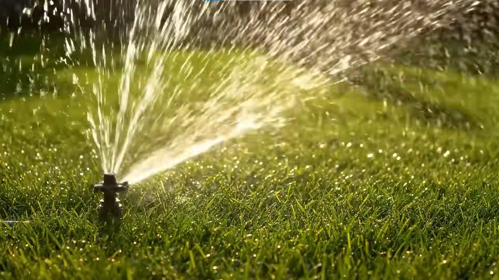 Sprinkler & Irrigation