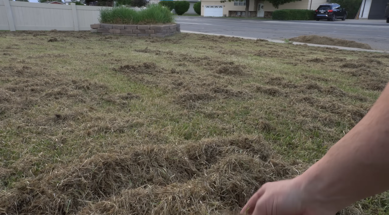 Aeration & Dethatching